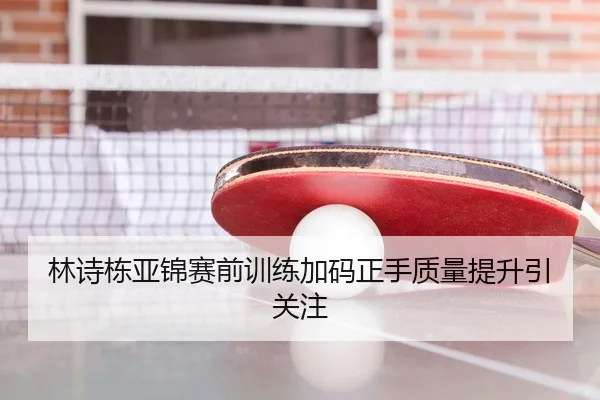 林诗栋亚锦赛前训练加码正手质量提升引关注 - NG Sports